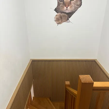 Pilgrim's House 오 페드로우소