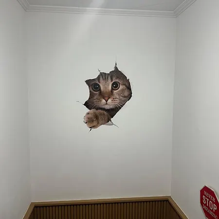 Pilgrim's House Daire