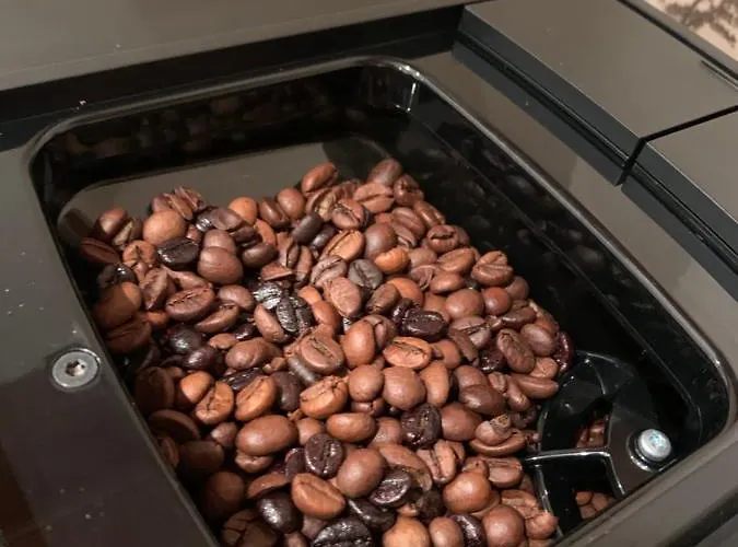 Апартаменты Pilgrim's House *